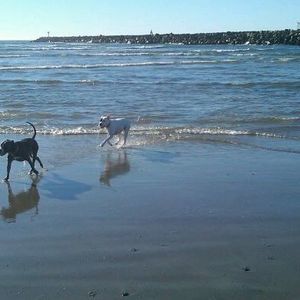 Meet your Posher, Tricia